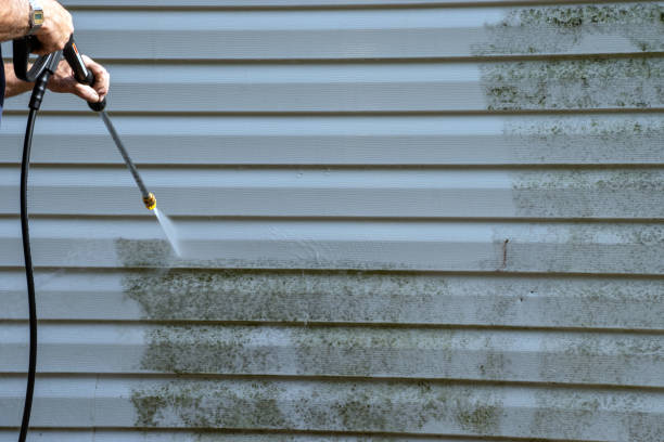 Best Custom Trim and Detailing for Siding  in Torrance, CA
